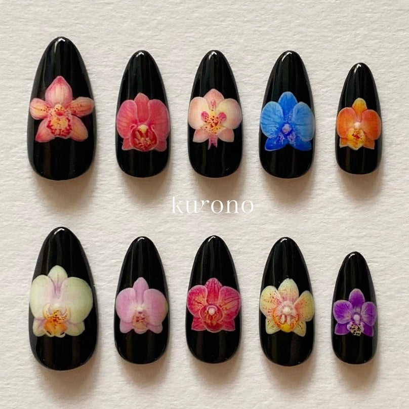 Orchids in Full Bloom (Limited Edition)