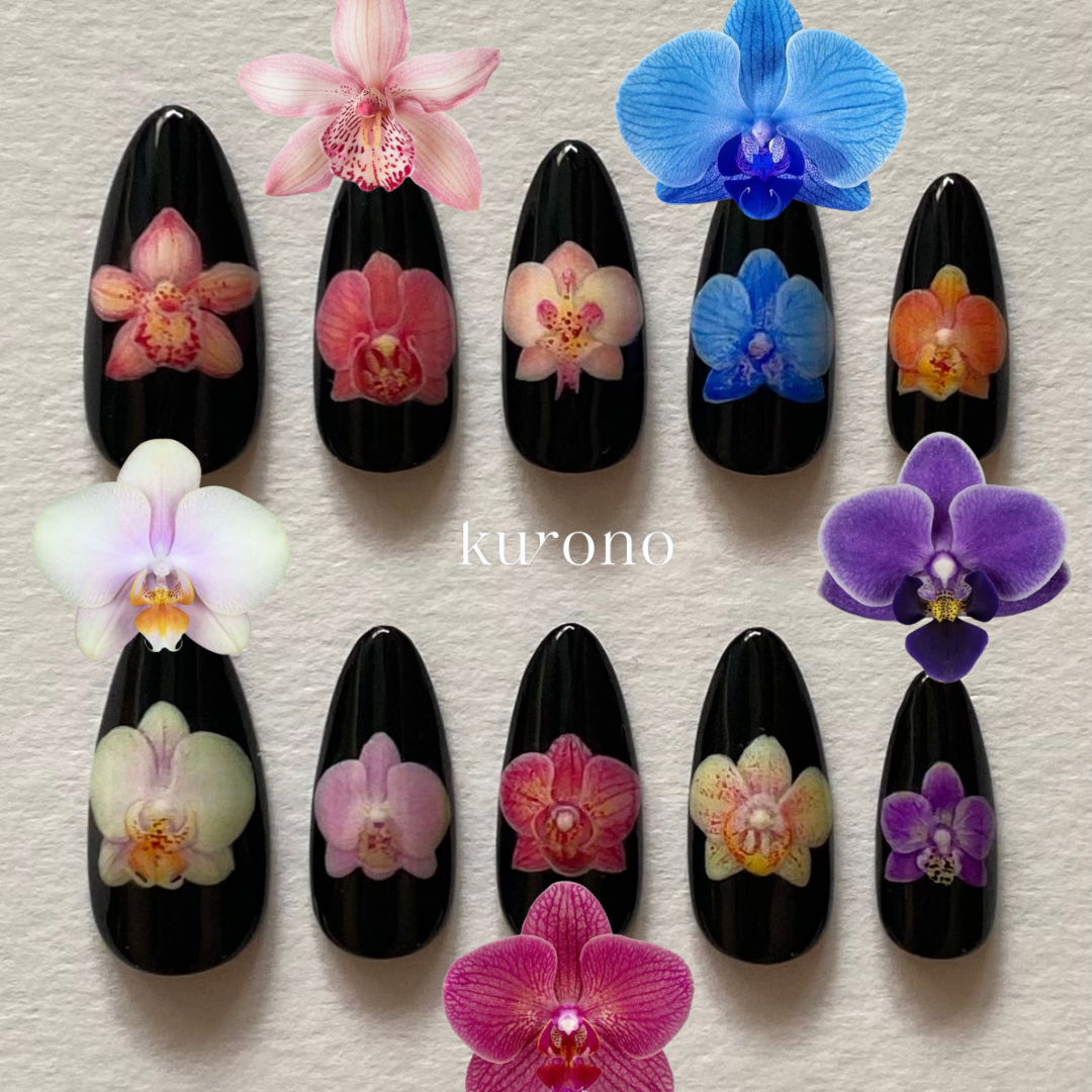 Orchids in Full Bloom (Limited Edition)
