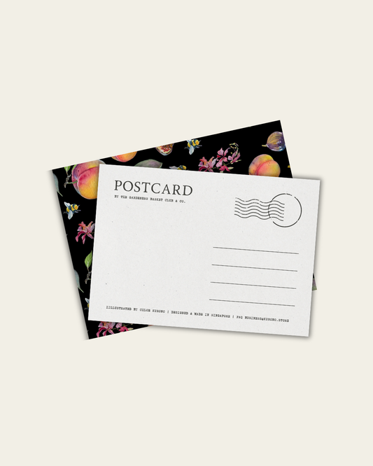 Lovers Basket Postcard